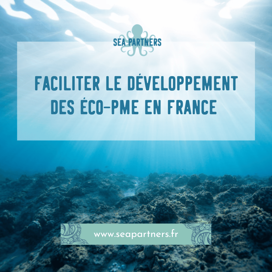 Article faciliter développement eco-PME France